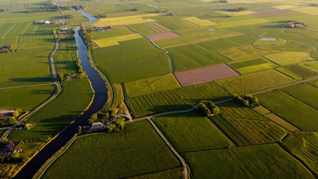aerial view of green grass field during daytime