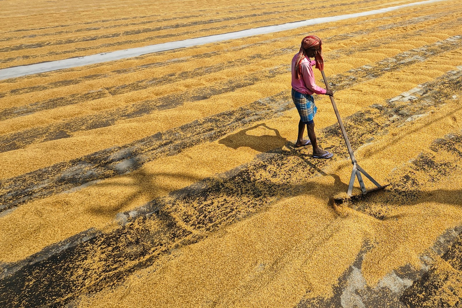 a woman is standing in a field with a mop